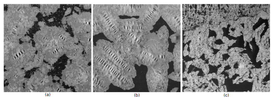 شکل شماره 16-3 میکرو گراف میکروسکوپی اتمی در 25 درجه سانتی گراد برای قیر دست‌نخورده (a)، قیر اصلاح‌شده (b) بعد از گذشت 7 روز از زمان پخت در دمای 90 درجه سانتی گراد و فوم قیری (c). ابعاد 25*25 میکرومتر. اقتباس از Izquierdo و همکاران 2010